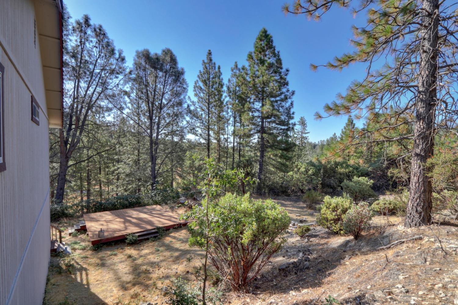 Detail Gallery Image 45 of 54 For 5310 Newtown Rd, Placerville,  CA 95667 - 4 Beds | 3 Baths