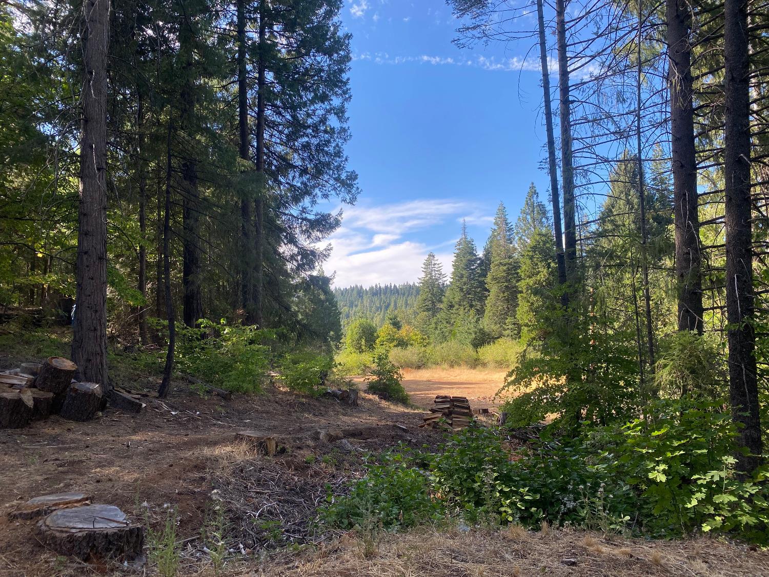 Detail Gallery Image 3 of 28 For 6 Acres Peaceful Pl, Pollock Pines,  CA 95726 - – Beds | – Baths