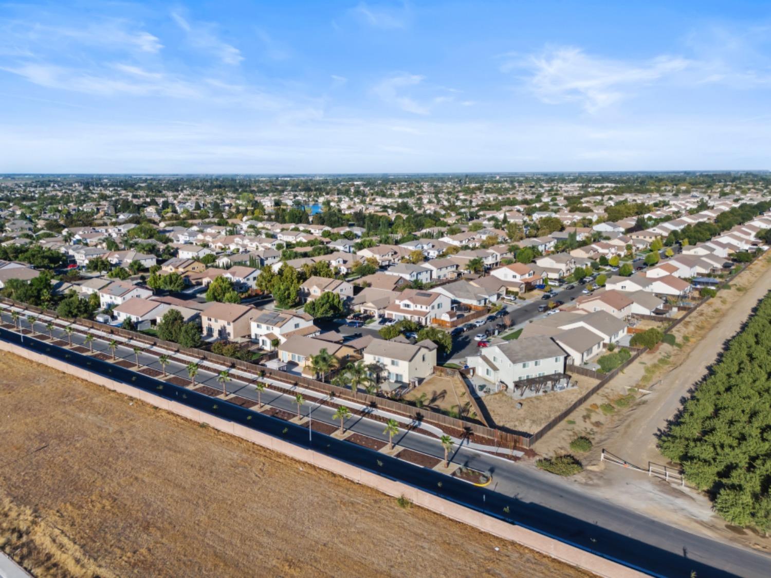 Lavender Lane, Patterson, California image 6