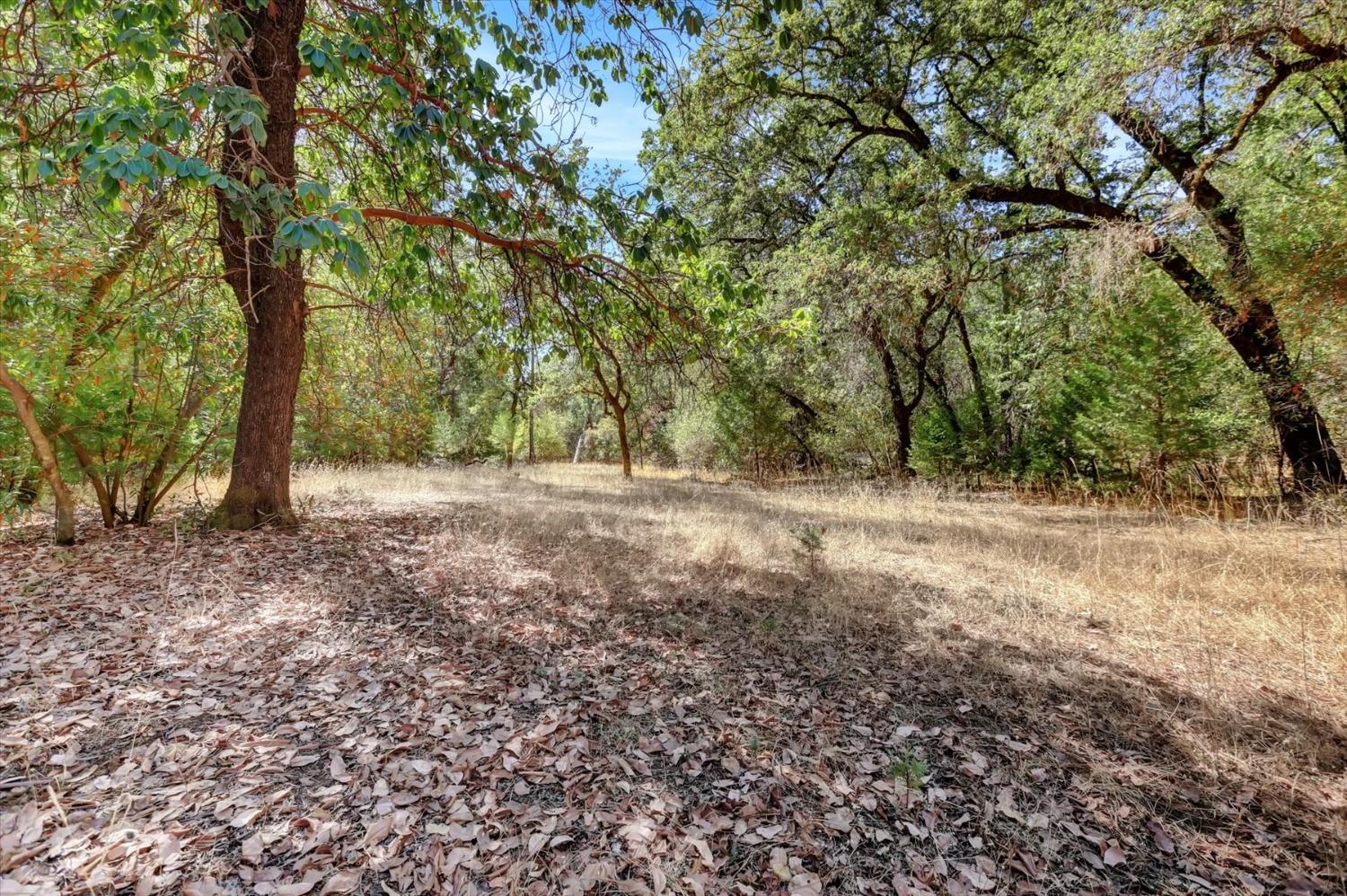 Detail Gallery Image 77 of 98 For 10848 Eich, Dobbins,  CA 95935 - 2 Beds | 1 Baths