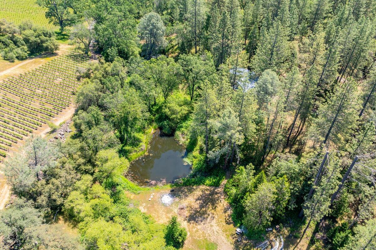 Detail Gallery Image 72 of 76 For 7903 Mount Aukum Rd, Somerset,  CA 95684 - 4 Beds | 3/4 Baths