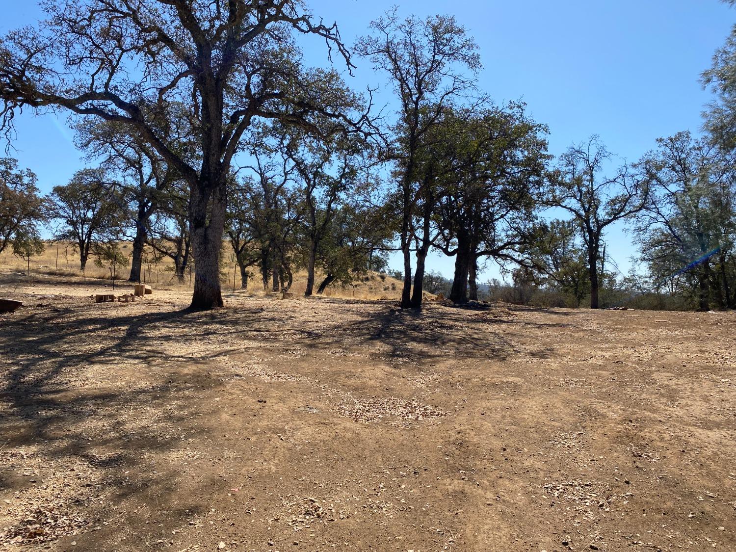 Levi Ct., Browns Valley, California image 11