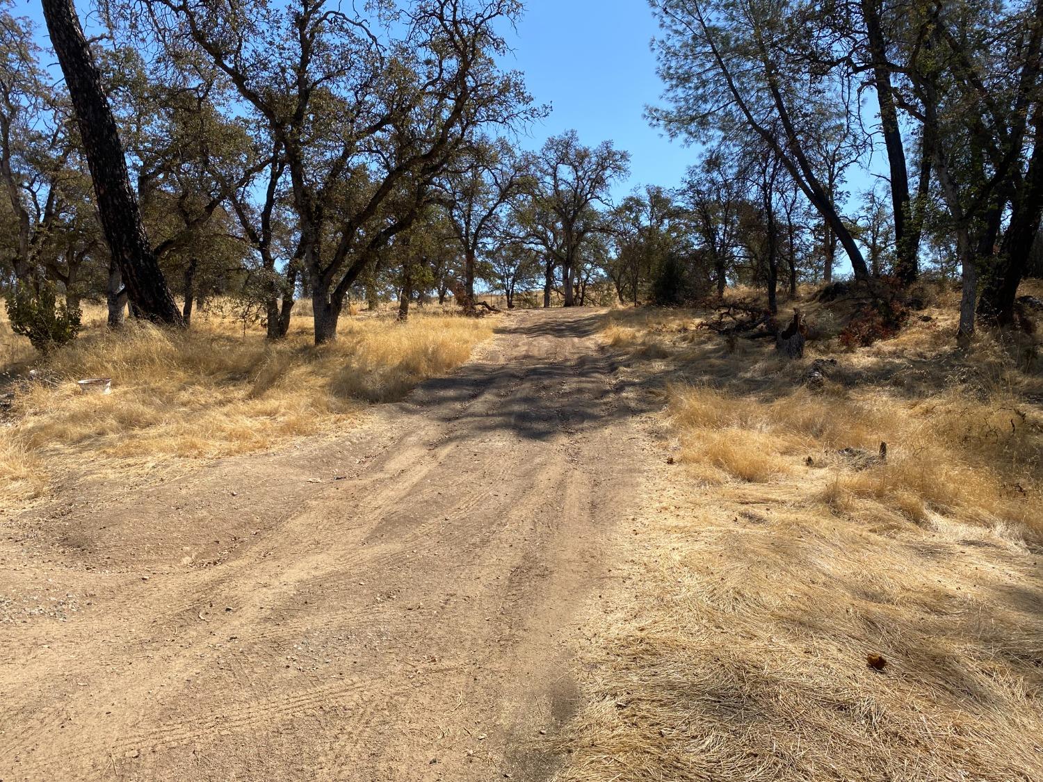 Levi Ct., Browns Valley, California image 8