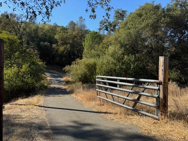 Peoria Road, Browns Valley, California image 2