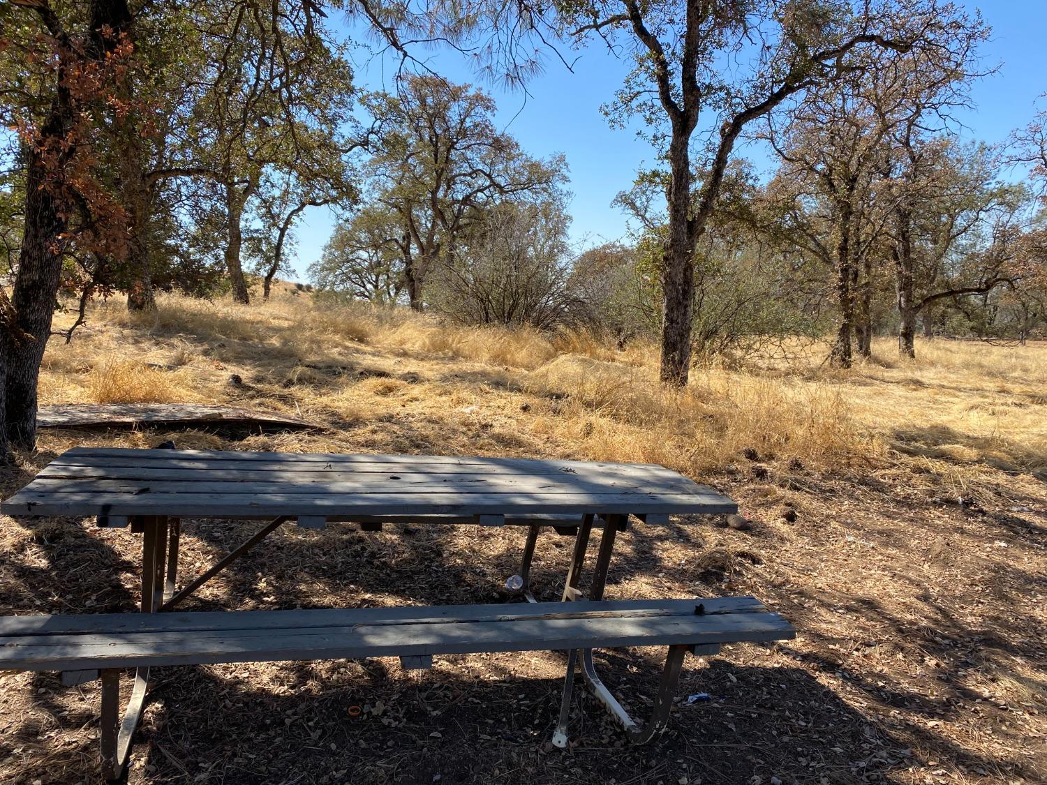 Levi Ct., Browns Valley, California image 18