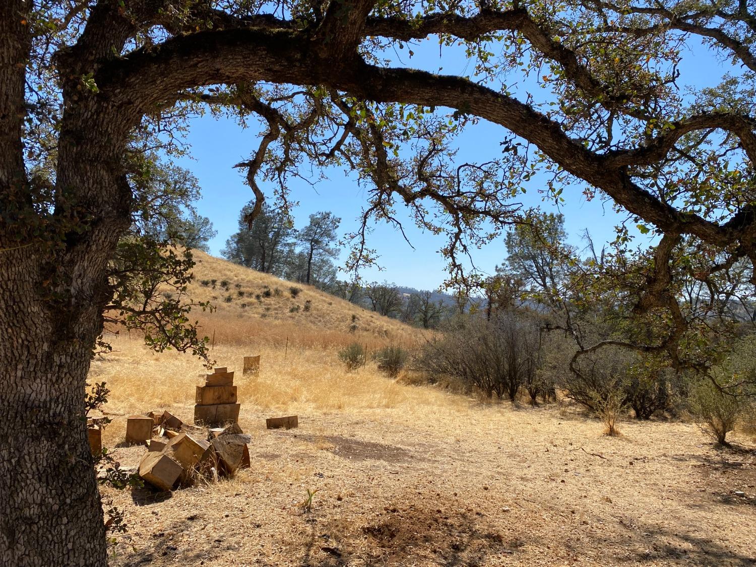 Levi Ct., Browns Valley, California image 14