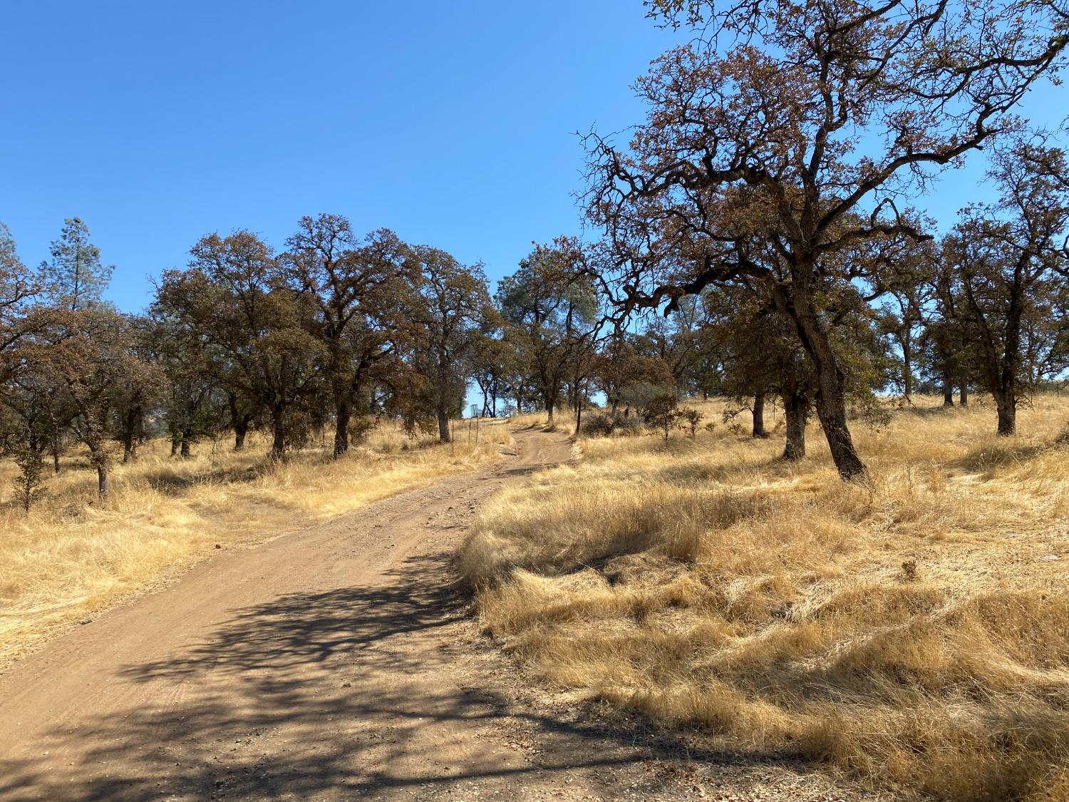 Levi Ct., Browns Valley, California image 17