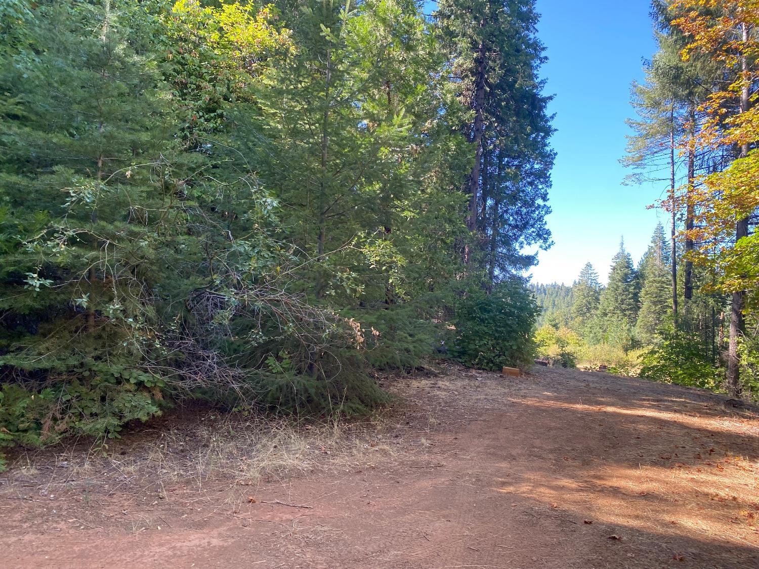 Detail Gallery Image 9 of 28 For 6 Acres Peaceful Pl, Pollock Pines,  CA 95726 - – Beds | – Baths