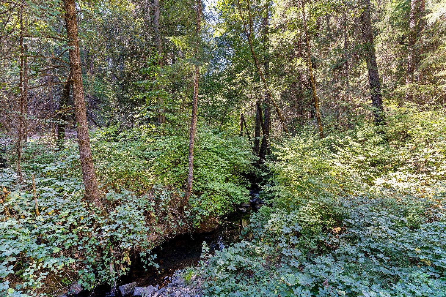 Detail Gallery Image 11 of 17 For 18081 Grizzly Creek Rd, Nevada City,  CA 95959 - – Beds | – Baths