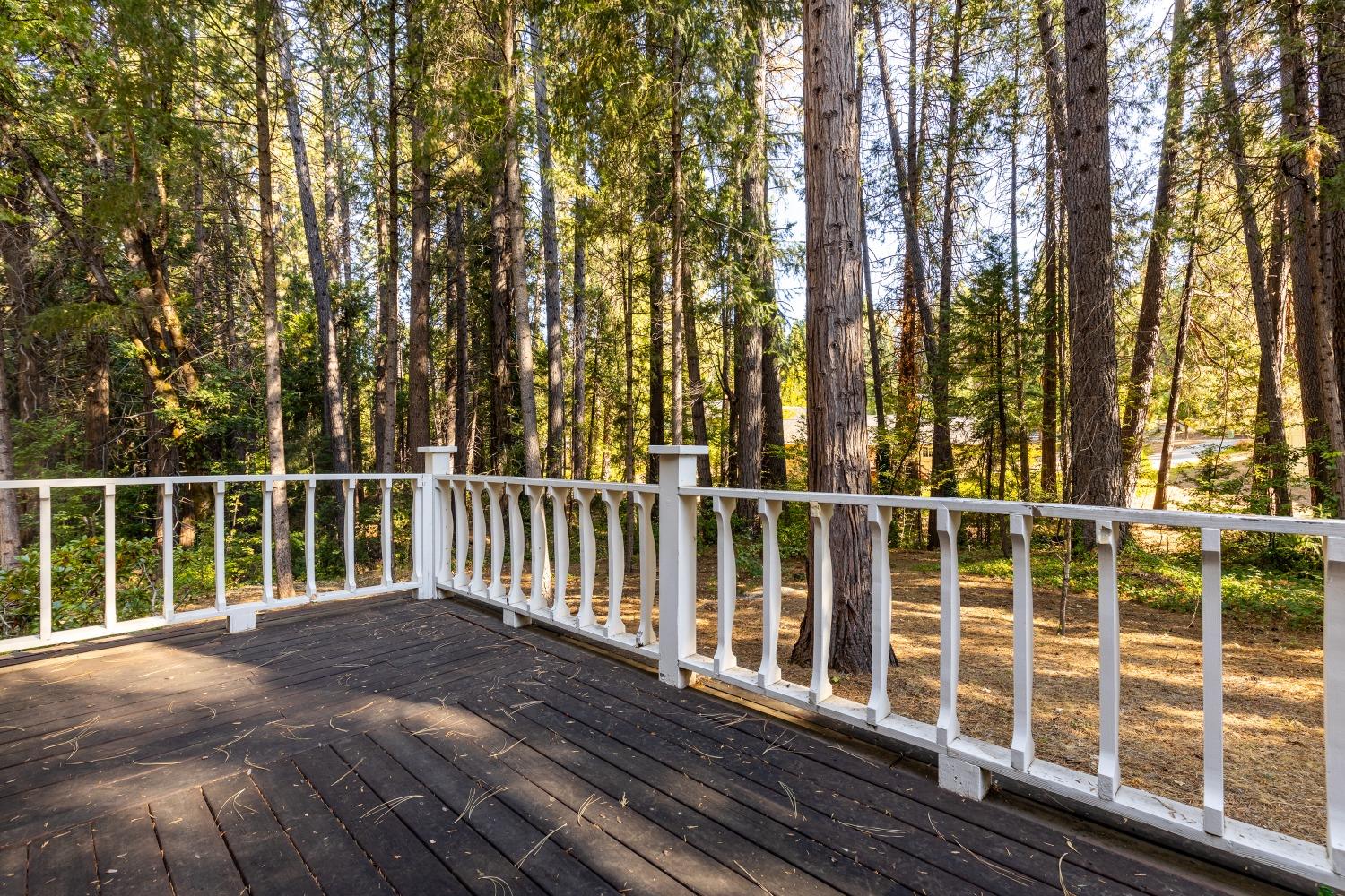 Detail Gallery Image 30 of 54 For 519 Nimrod St, Nevada City,  CA 95959 - 4 Beds | 2 Baths