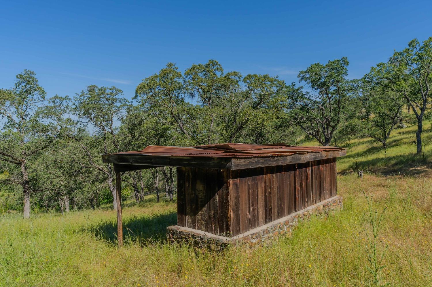 Detail Gallery Image 57 of 67 For 8251 Buffalo Ridge Rd, Ione,  CA 95640 - 4 Beds | 3 Baths