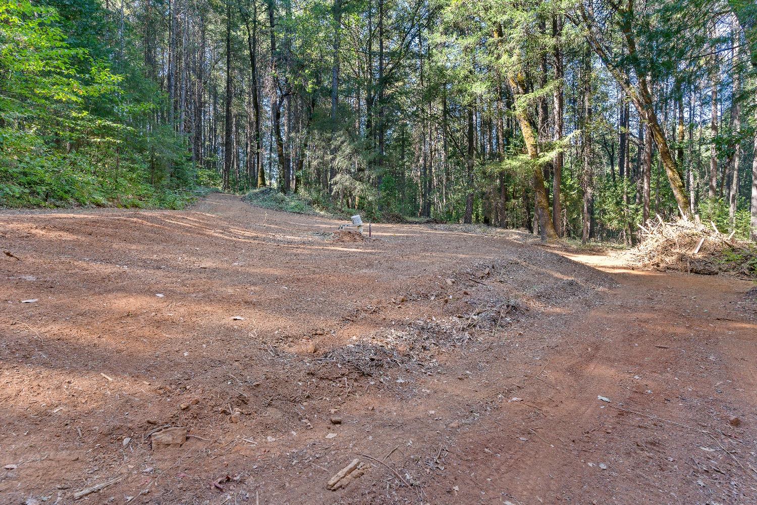 Detail Gallery Image 13 of 17 For 18081 Grizzly Creek Rd, Nevada City,  CA 95959 - – Beds | – Baths