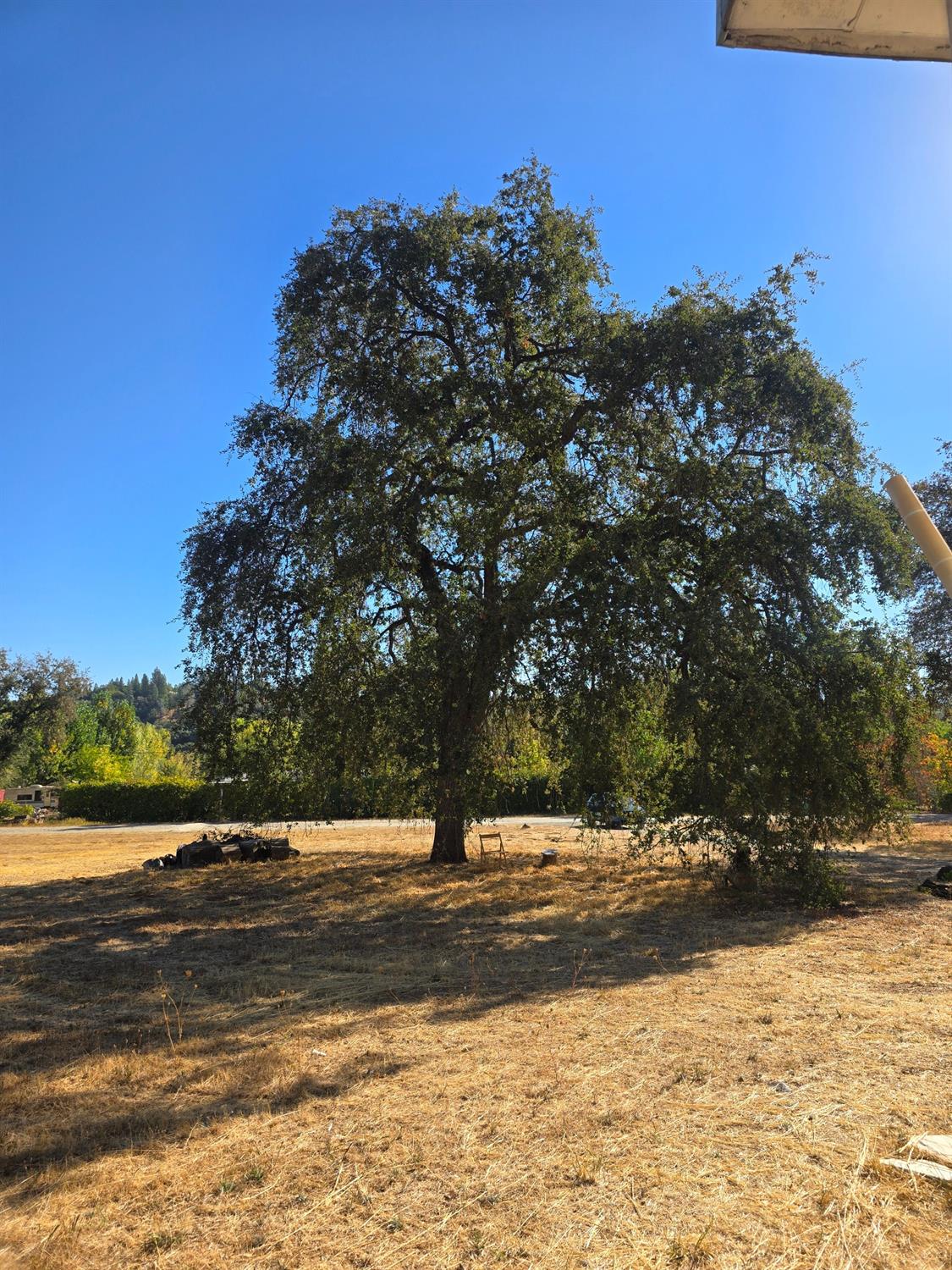 Detail Gallery Image 5 of 24 For 10326 Bar Hill Rd, Penn Valley,  CA 95946 - 3 Beds | 2 Baths