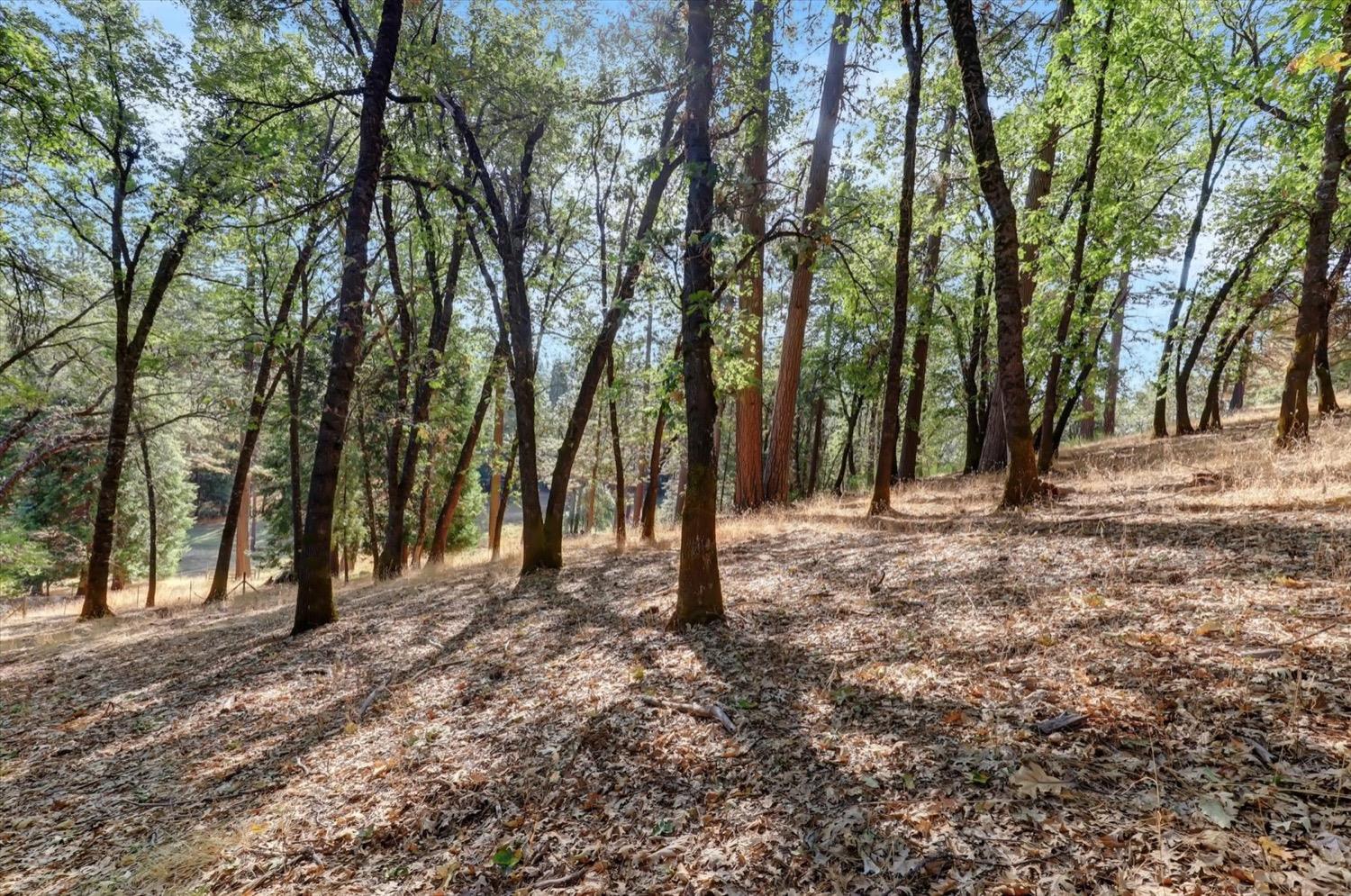 Detail Gallery Image 51 of 70 For 14679 Cattail Ln, Grass Valley,  CA 95945 - 3 Beds | 2 Baths