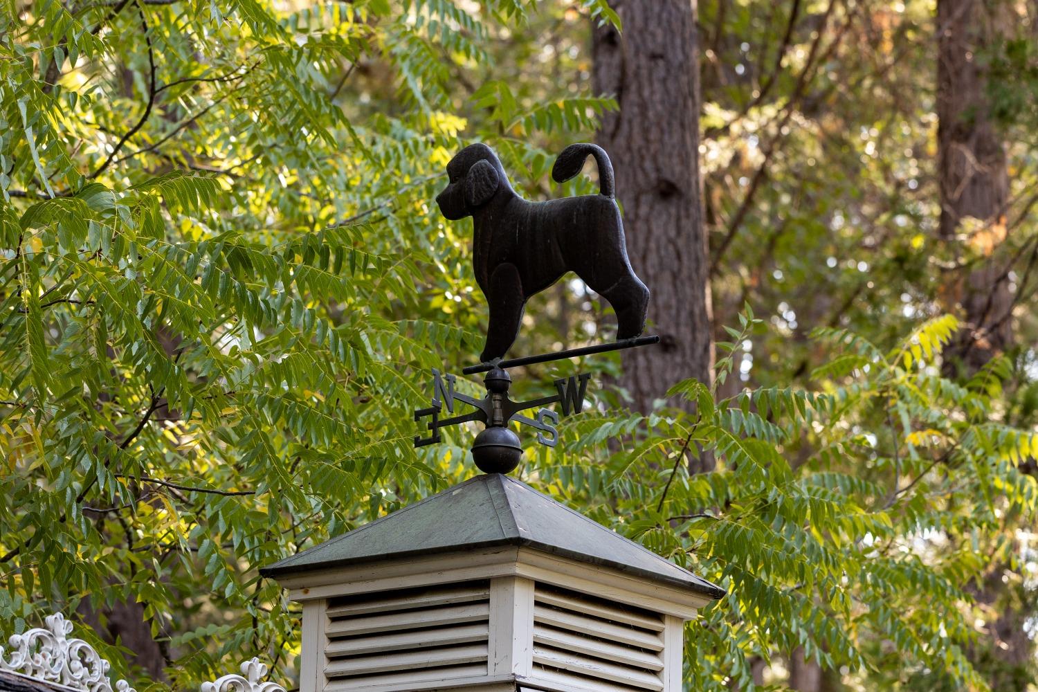 Detail Gallery Image 41 of 54 For 519 Nimrod St, Nevada City,  CA 95959 - 4 Beds | 2 Baths