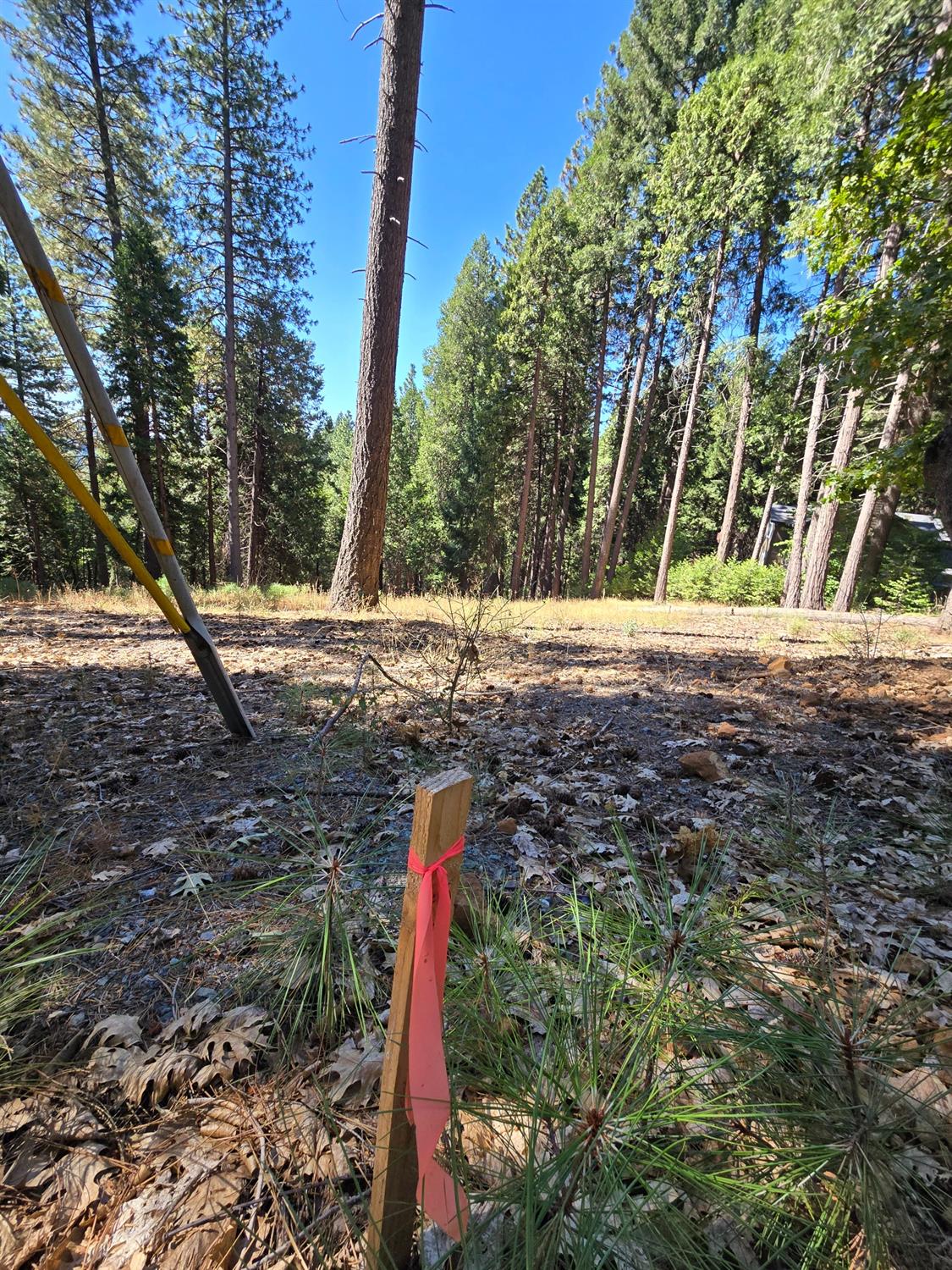 York Court, Pollock Pines, California image 4