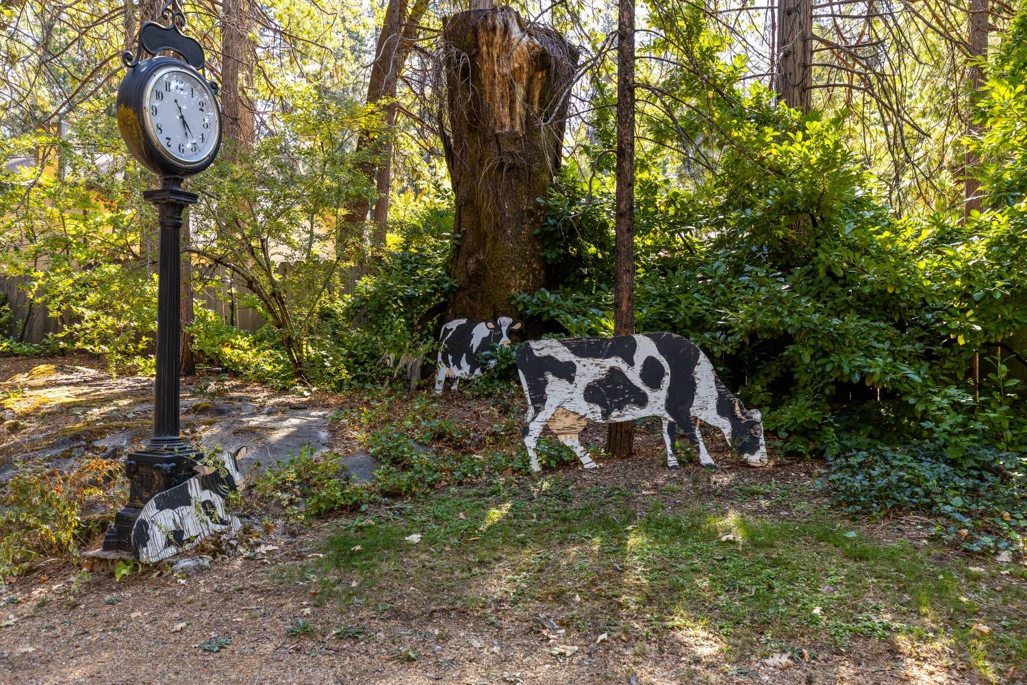 Detail Gallery Image 54 of 54 For 519 Nimrod St, Nevada City,  CA 95959 - 4 Beds | 2 Baths