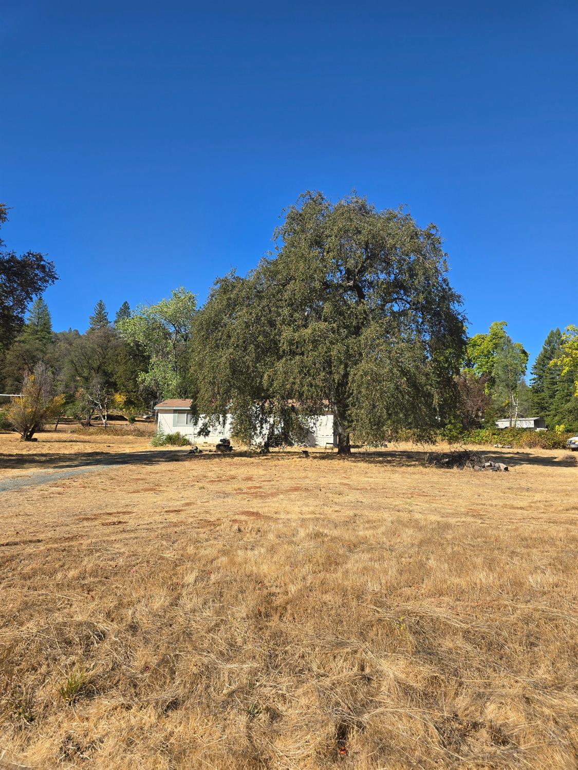 Detail Gallery Image 10 of 24 For 10326 Bar Hill Rd, Penn Valley,  CA 95946 - 3 Beds | 2 Baths