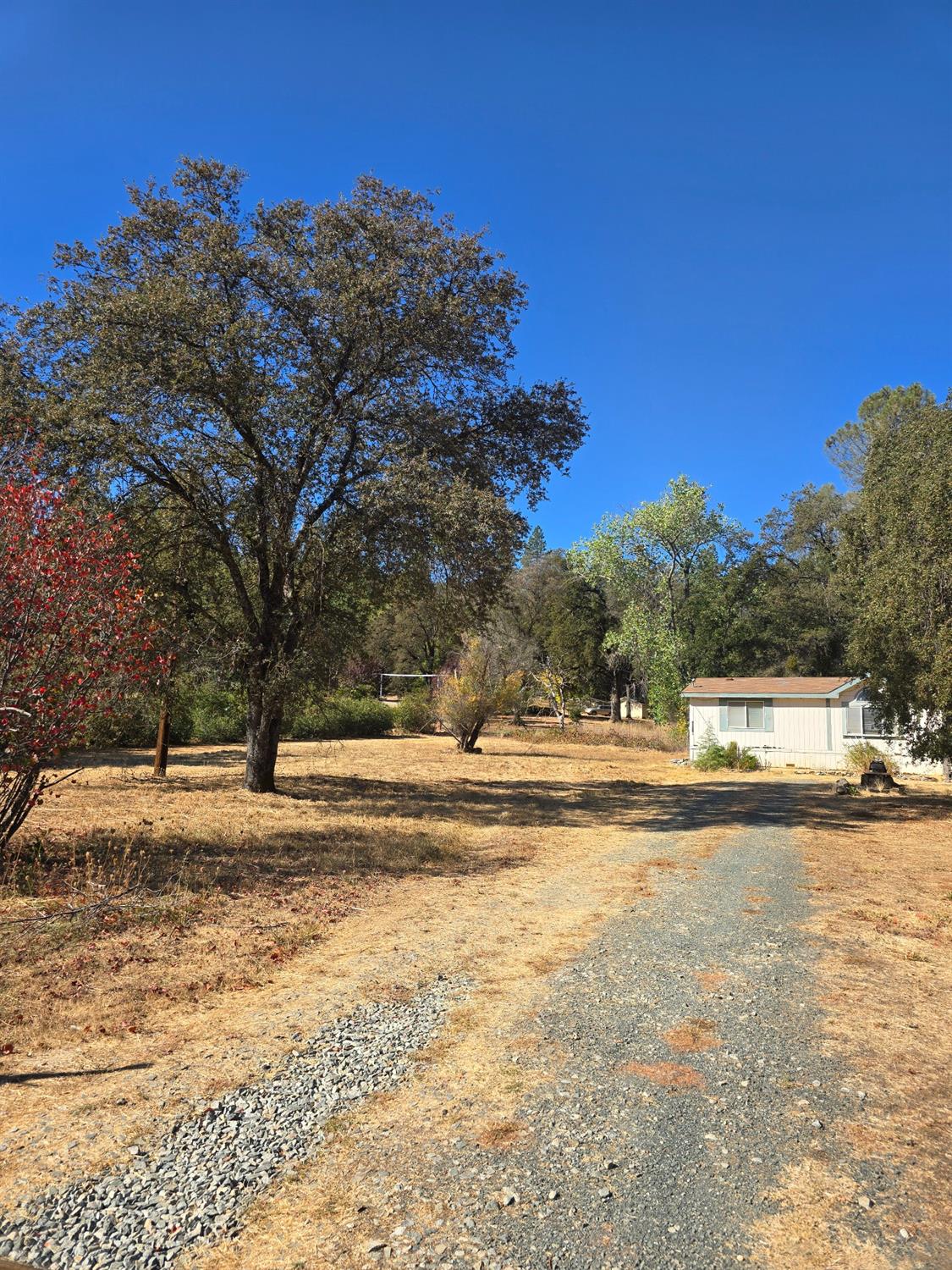 Detail Gallery Image 11 of 24 For 10326 Bar Hill Rd, Penn Valley,  CA 95946 - 3 Beds | 2 Baths