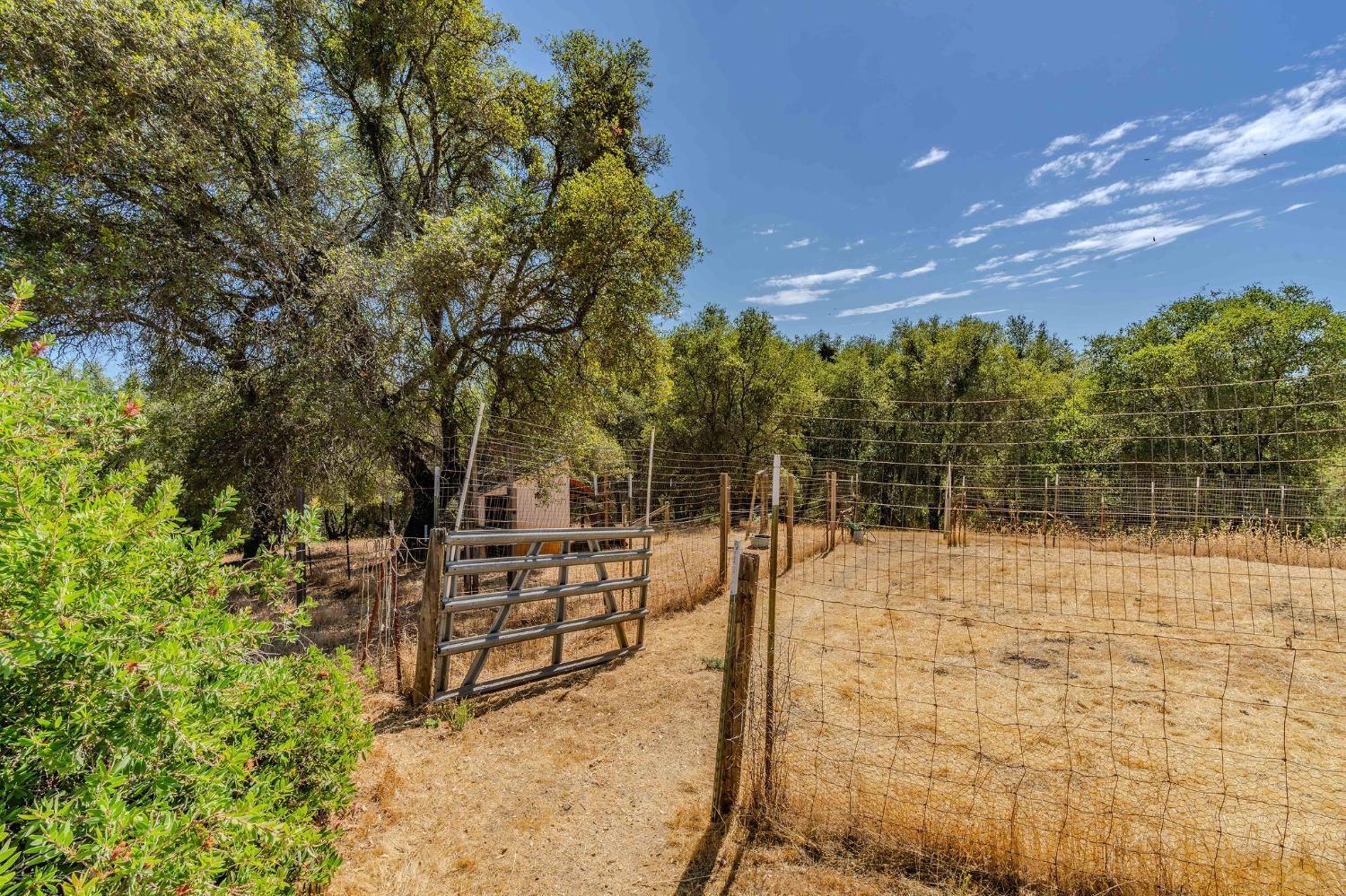 Detail Gallery Image 17 of 75 For 16360 Mt. Whitney Dr, Fiddletown,  CA 95629 - 3 Beds | 2 Baths