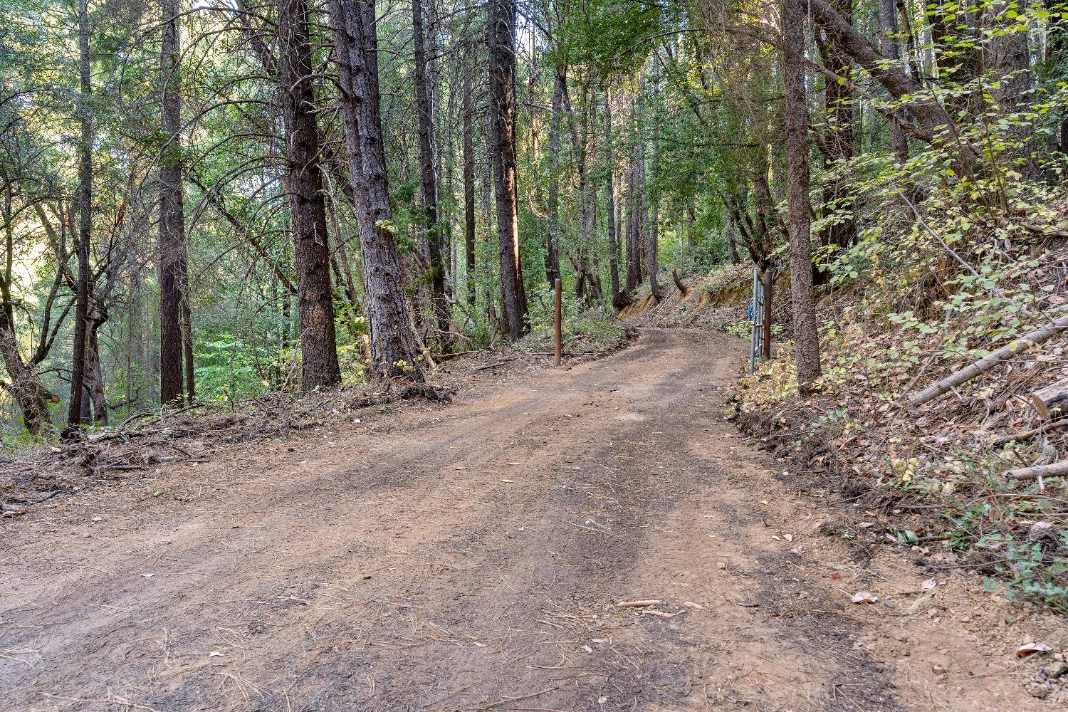 Detail Gallery Image 16 of 17 For 18081 Grizzly Creek Rd, Nevada City,  CA 95959 - – Beds | – Baths