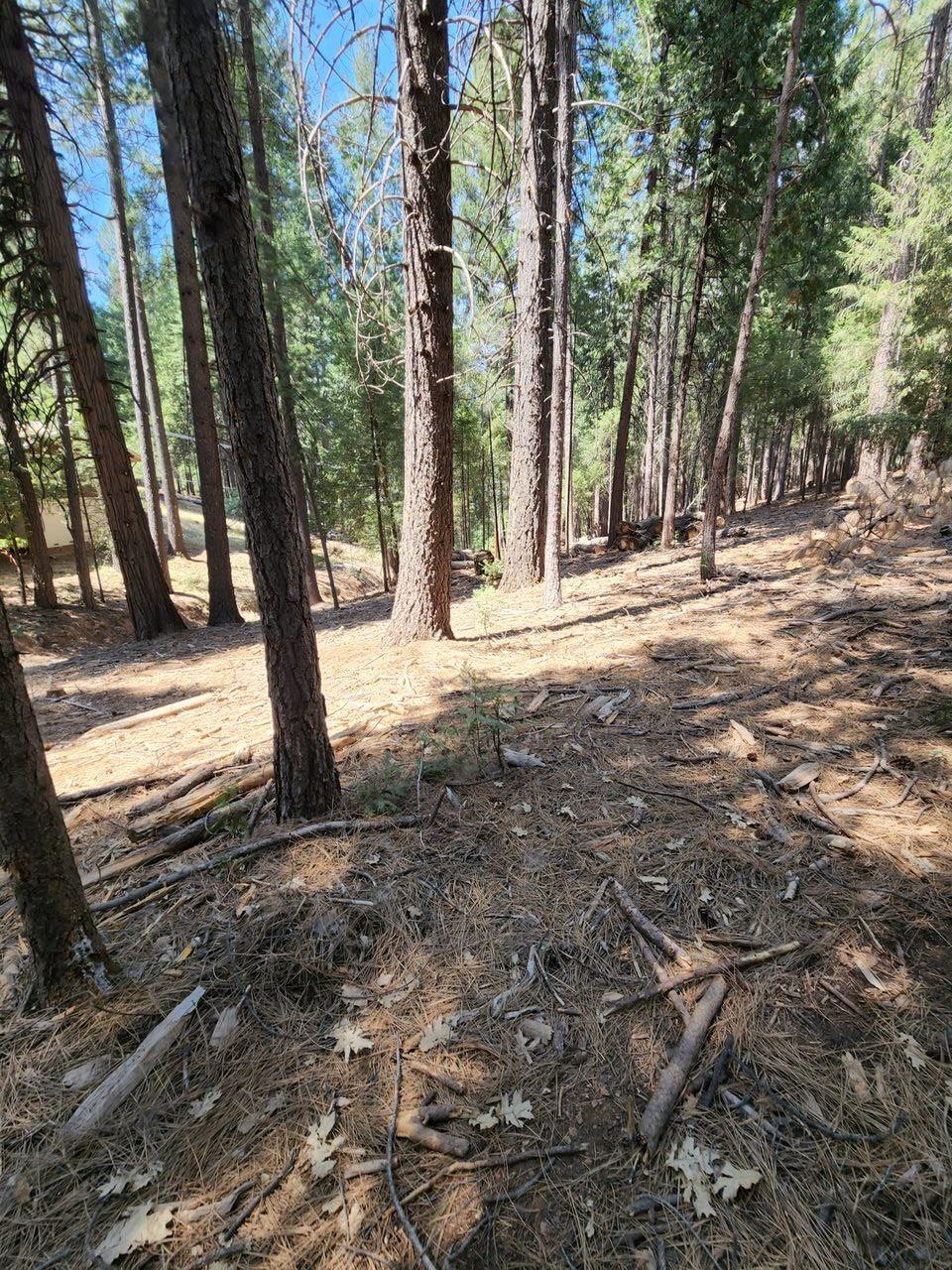 Juarez Road, Pollock Pines, California image 3