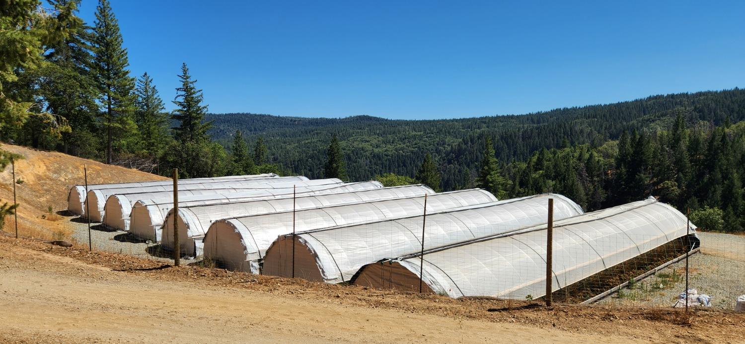 Detail Gallery Image 24 of 30 For 18733 Jackass Flats Rd, Nevada City,  CA 95959 - 3 Beds | 2/1 Baths