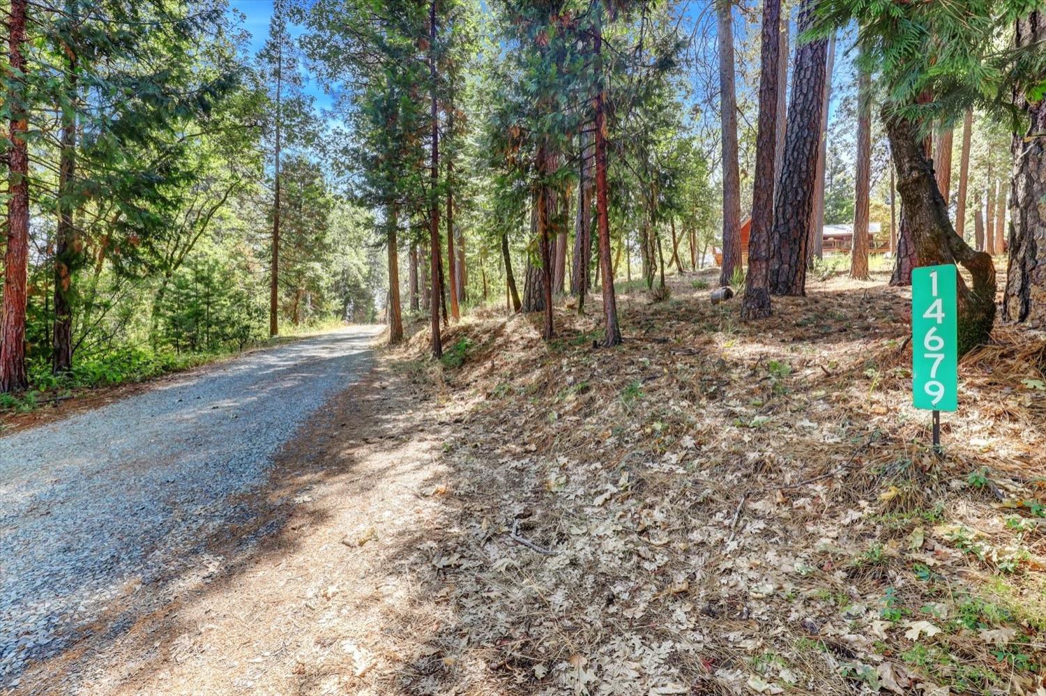 Detail Gallery Image 65 of 70 For 14679 Cattail Ln, Grass Valley,  CA 95945 - 3 Beds | 2 Baths