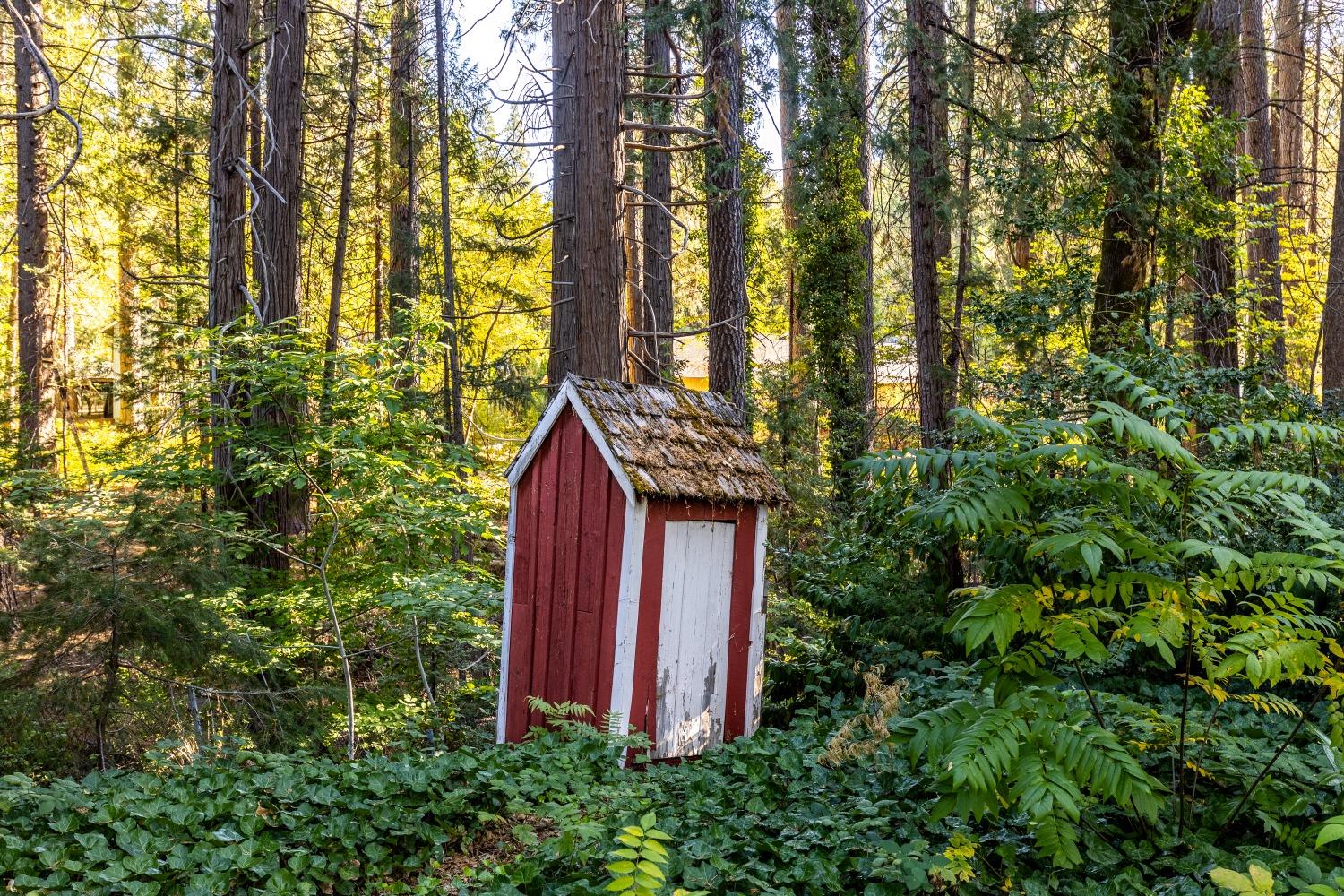 Detail Gallery Image 49 of 54 For 519 Nimrod St, Nevada City,  CA 95959 - 4 Beds | 2 Baths