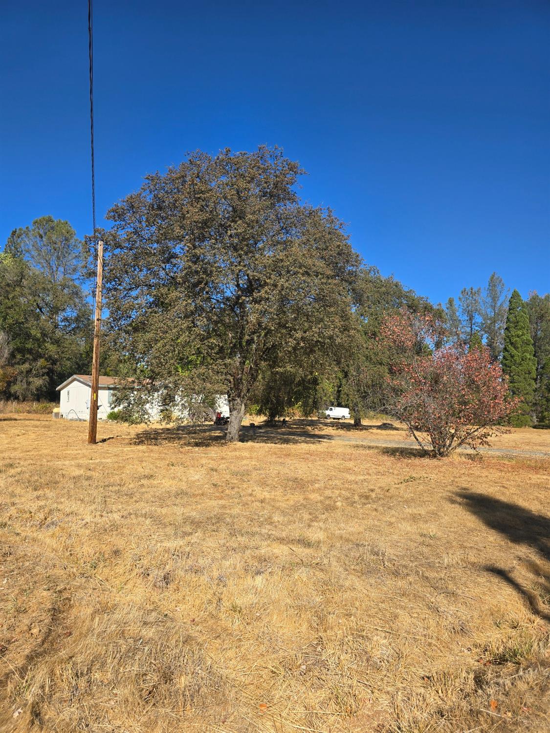 Detail Gallery Image 8 of 24 For 10326 Bar Hill Rd, Penn Valley,  CA 95946 - 3 Beds | 2 Baths