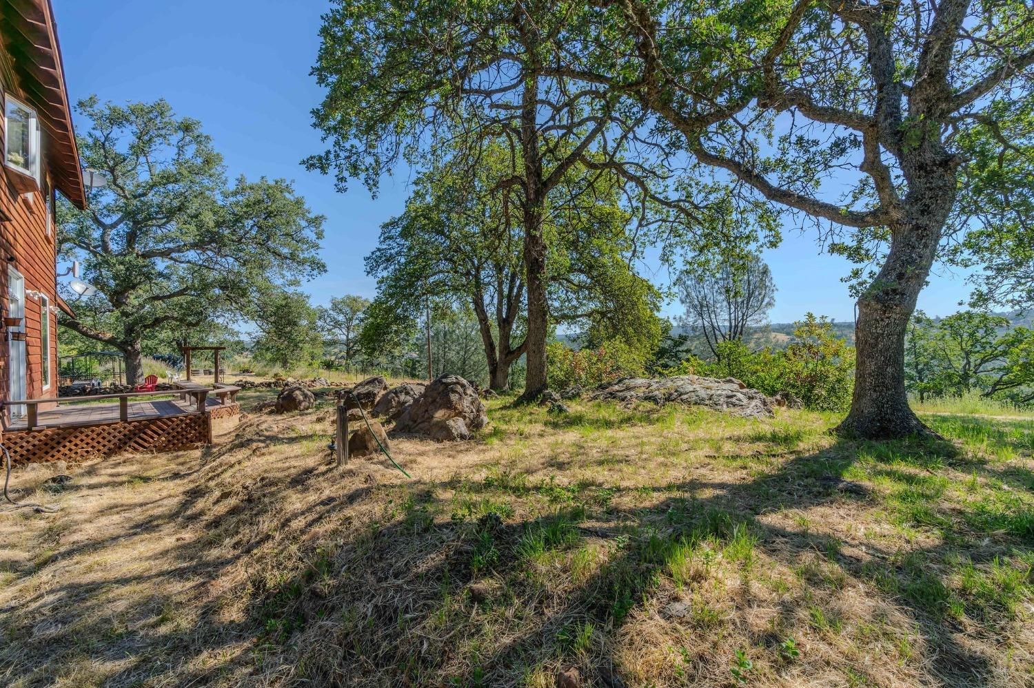 Buffalo Ridge Road, Ione, California image 9