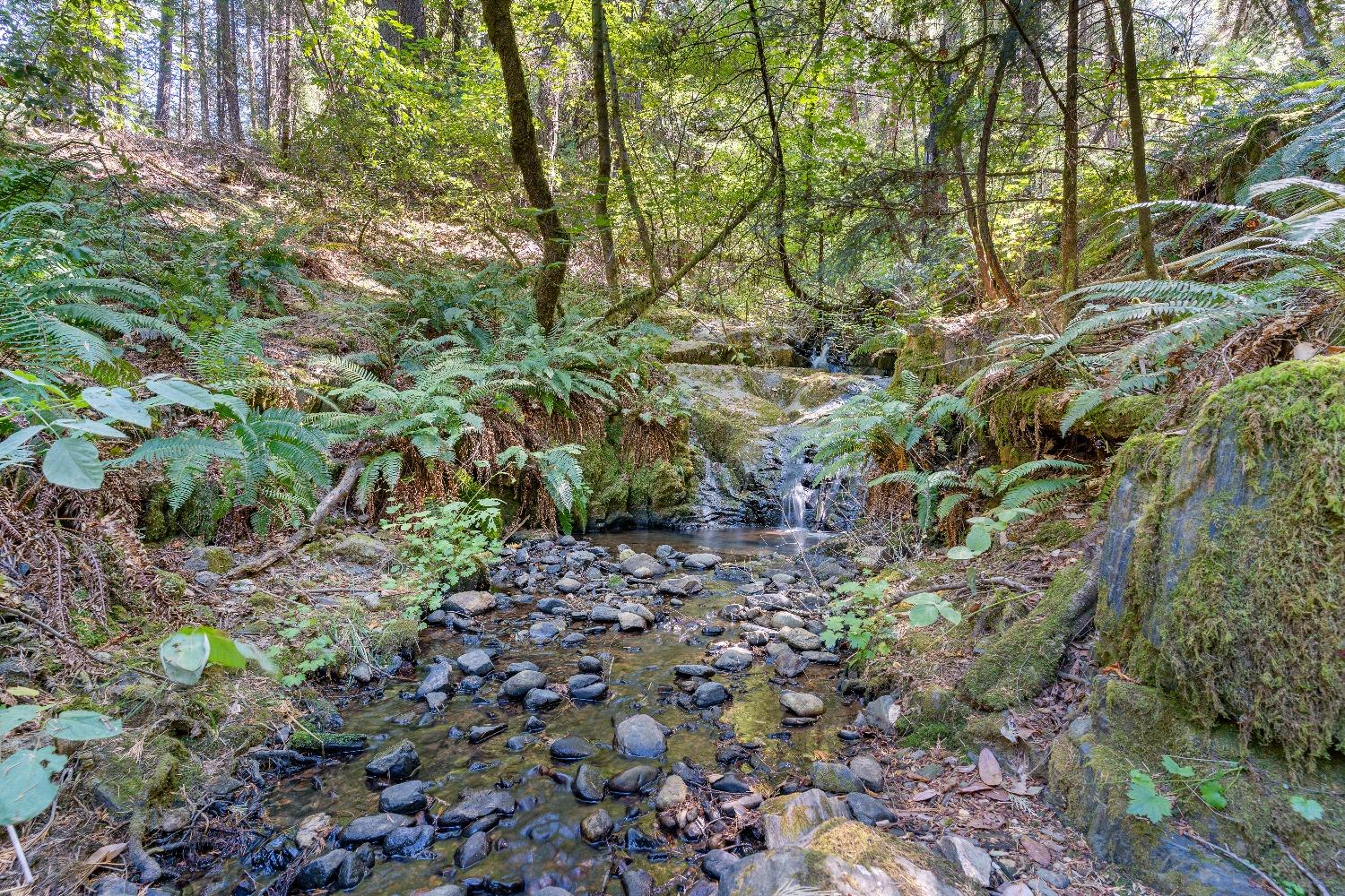 Detail Gallery Image 10 of 17 For 18081 Grizzly Creek Rd, Nevada City,  CA 95959 - – Beds | – Baths