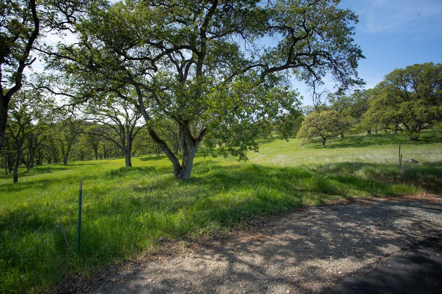 Dry Oak Court, Browns Valley, California image 2