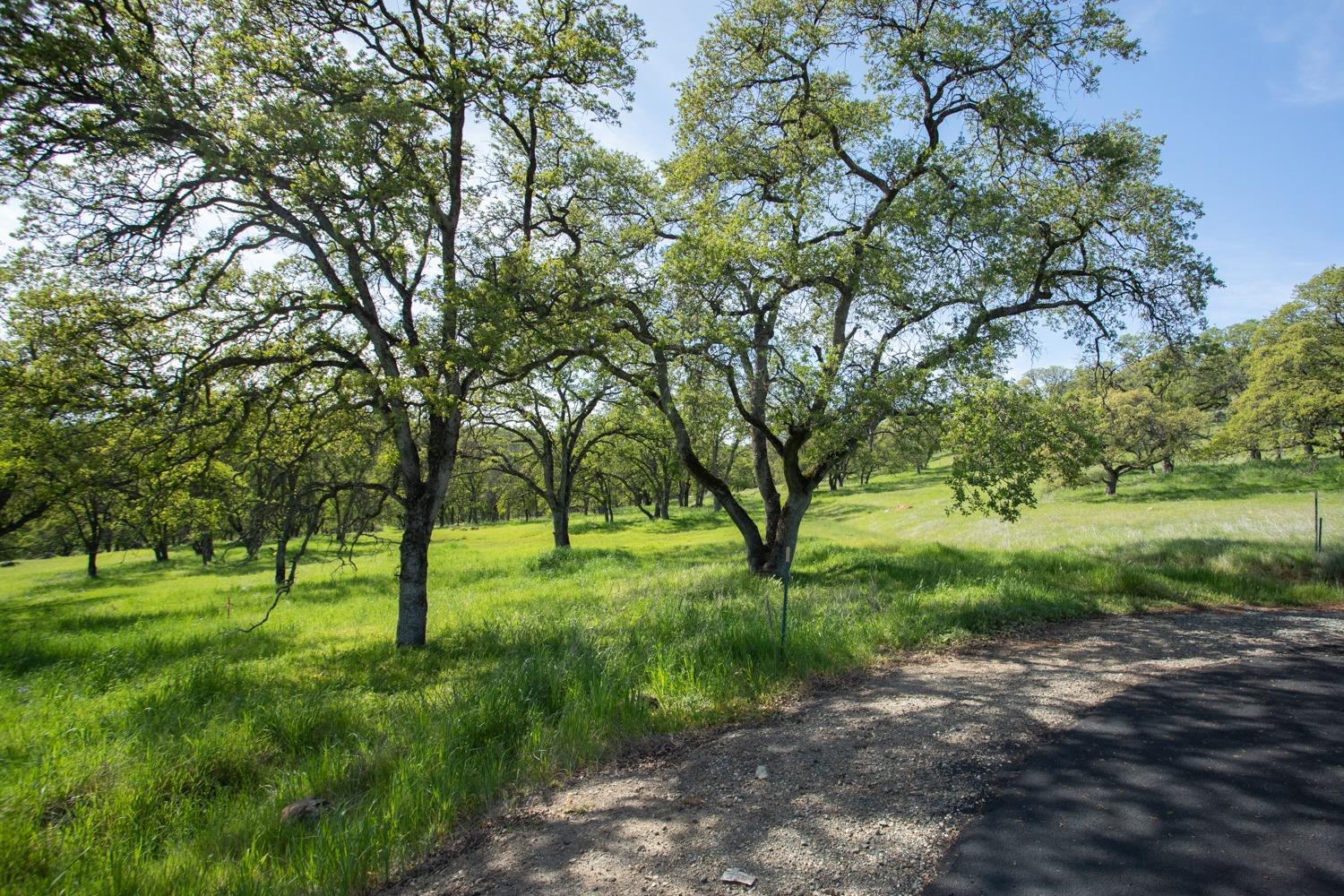 Dry Oak Court, Browns Valley, California image 3