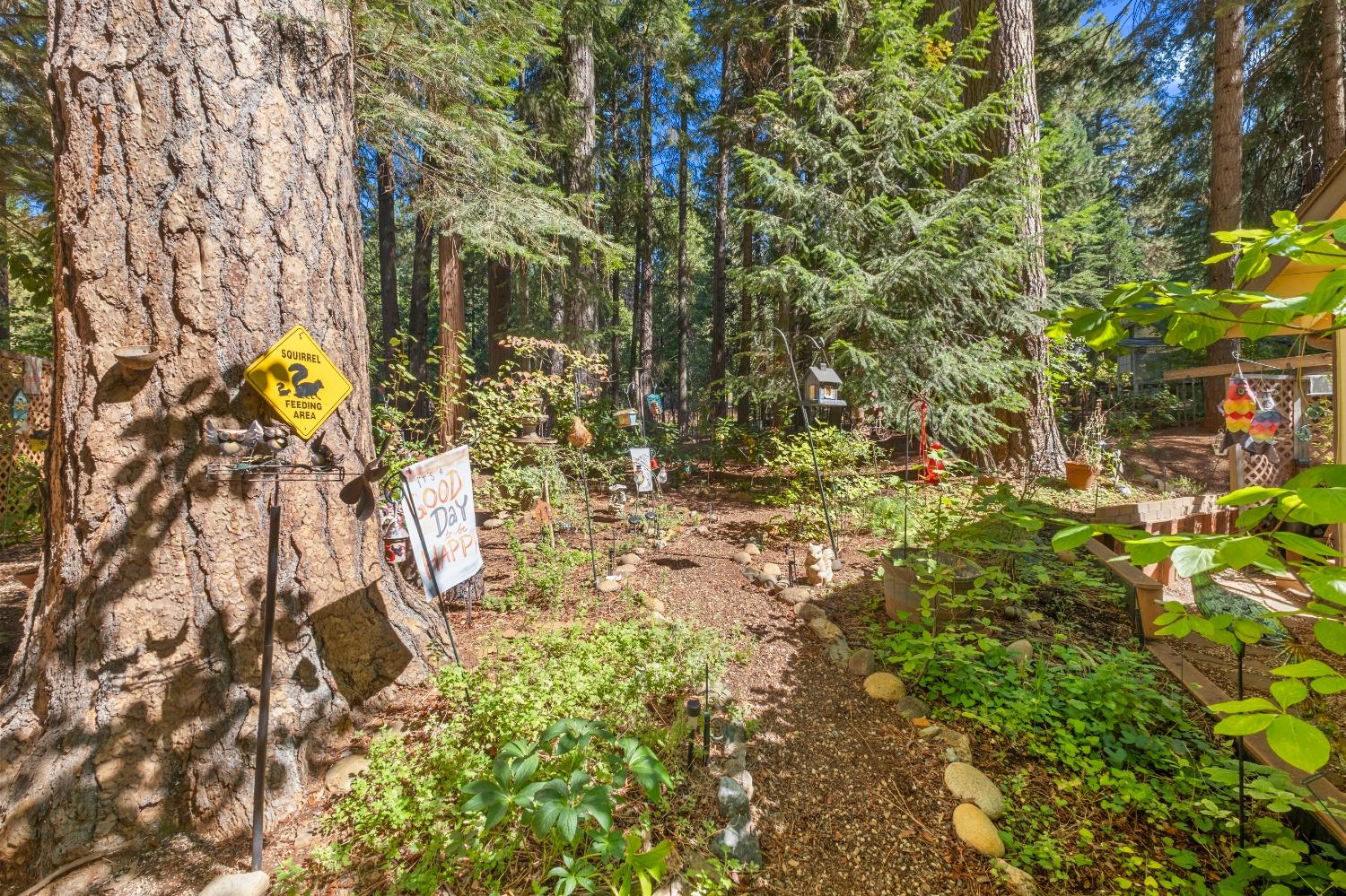 Detail Gallery Image 55 of 64 For 5030 Apple Creek Ct, Pollock Pines,  CA 95726 - 3 Beds | 2/1 Baths