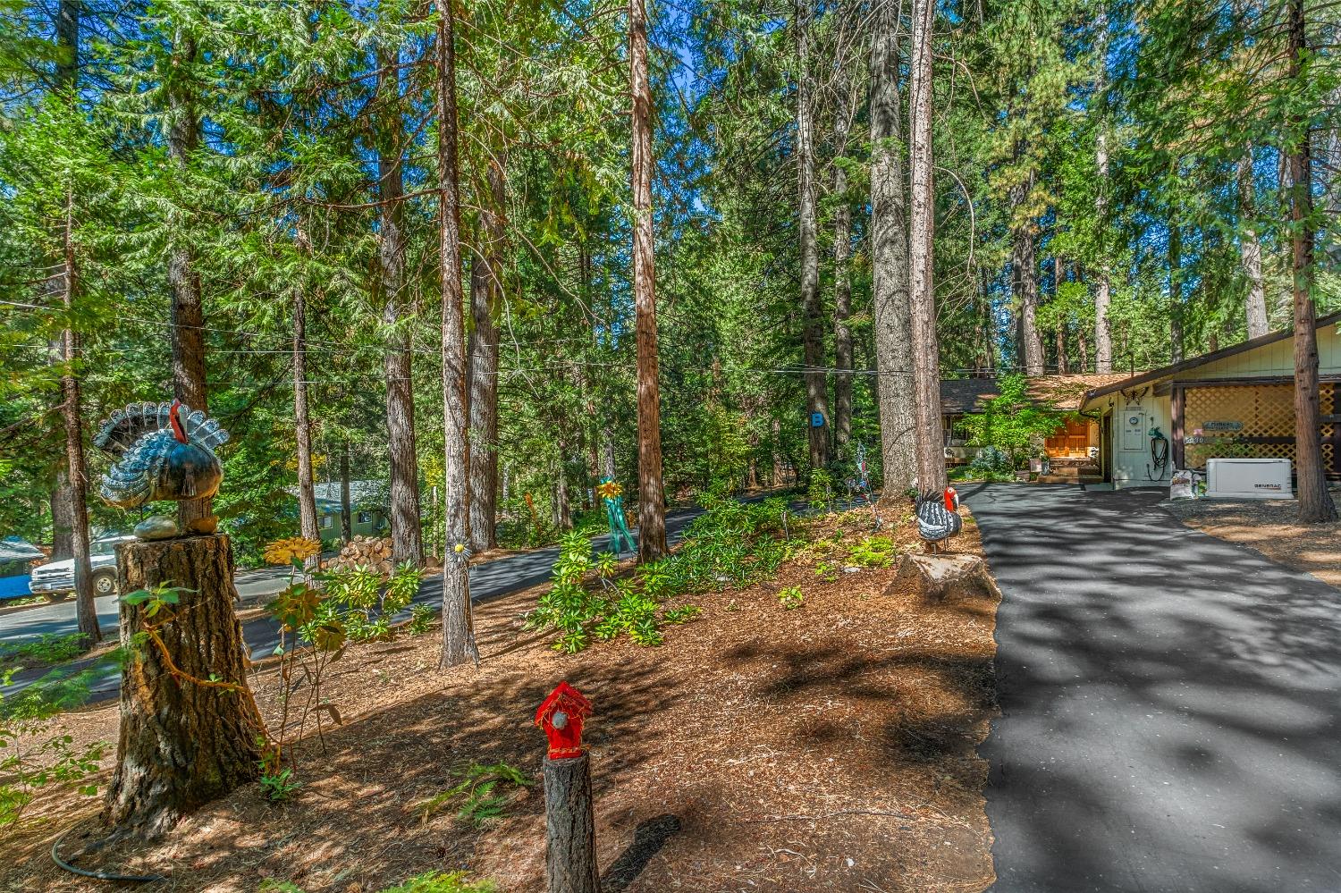 Apple Creek Court, Pollock Pines, California image 13