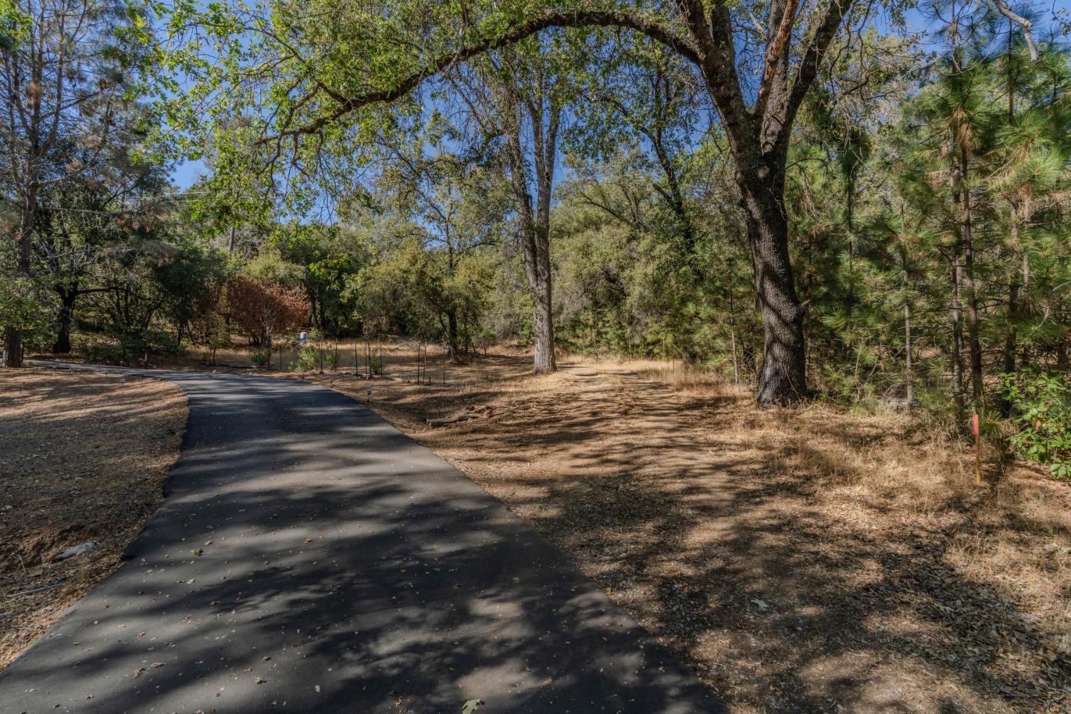 Ponderosa Annex Road, Sutter Creek, California image 4