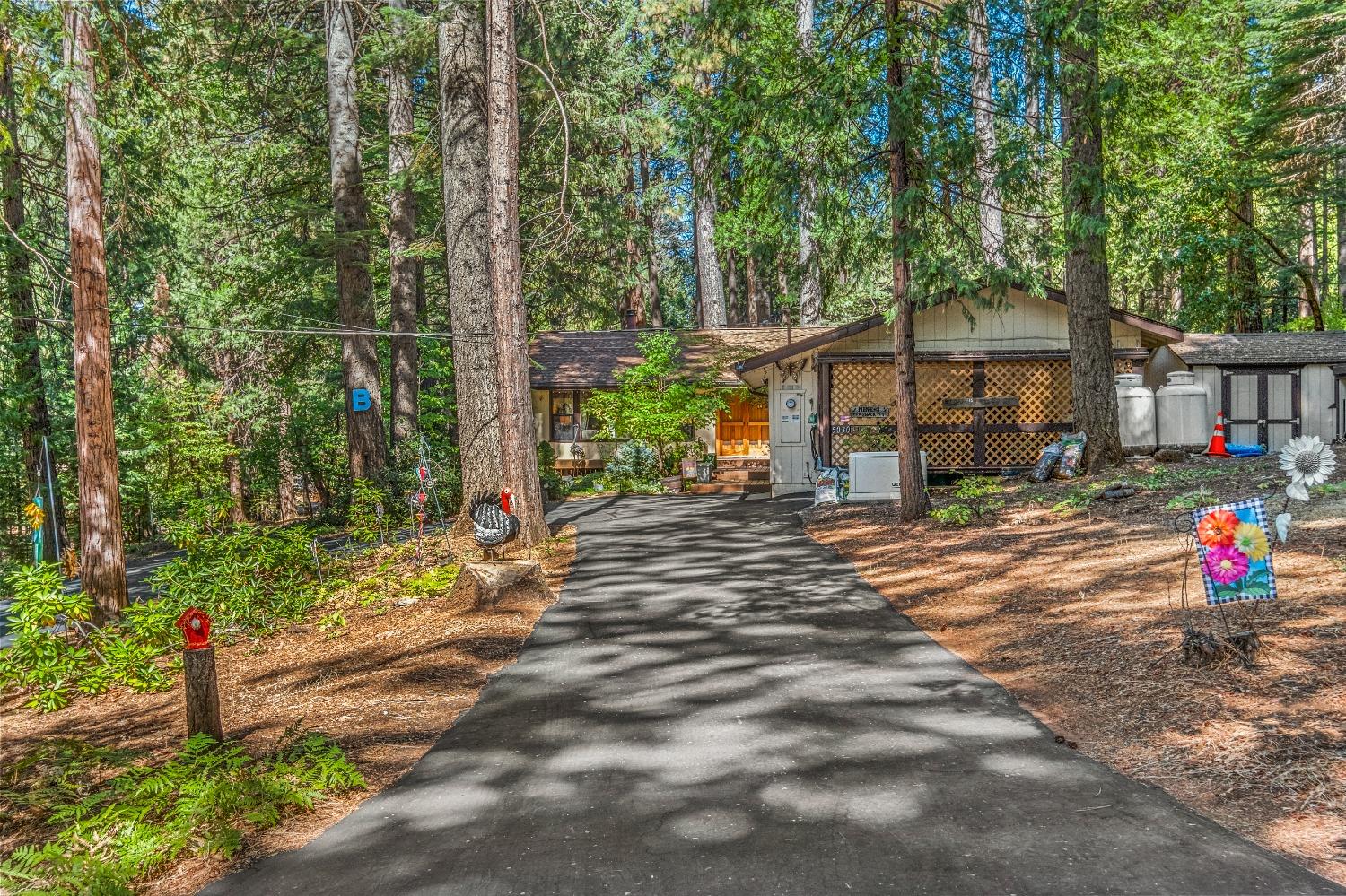 Apple Creek Court, Pollock Pines, California image 8