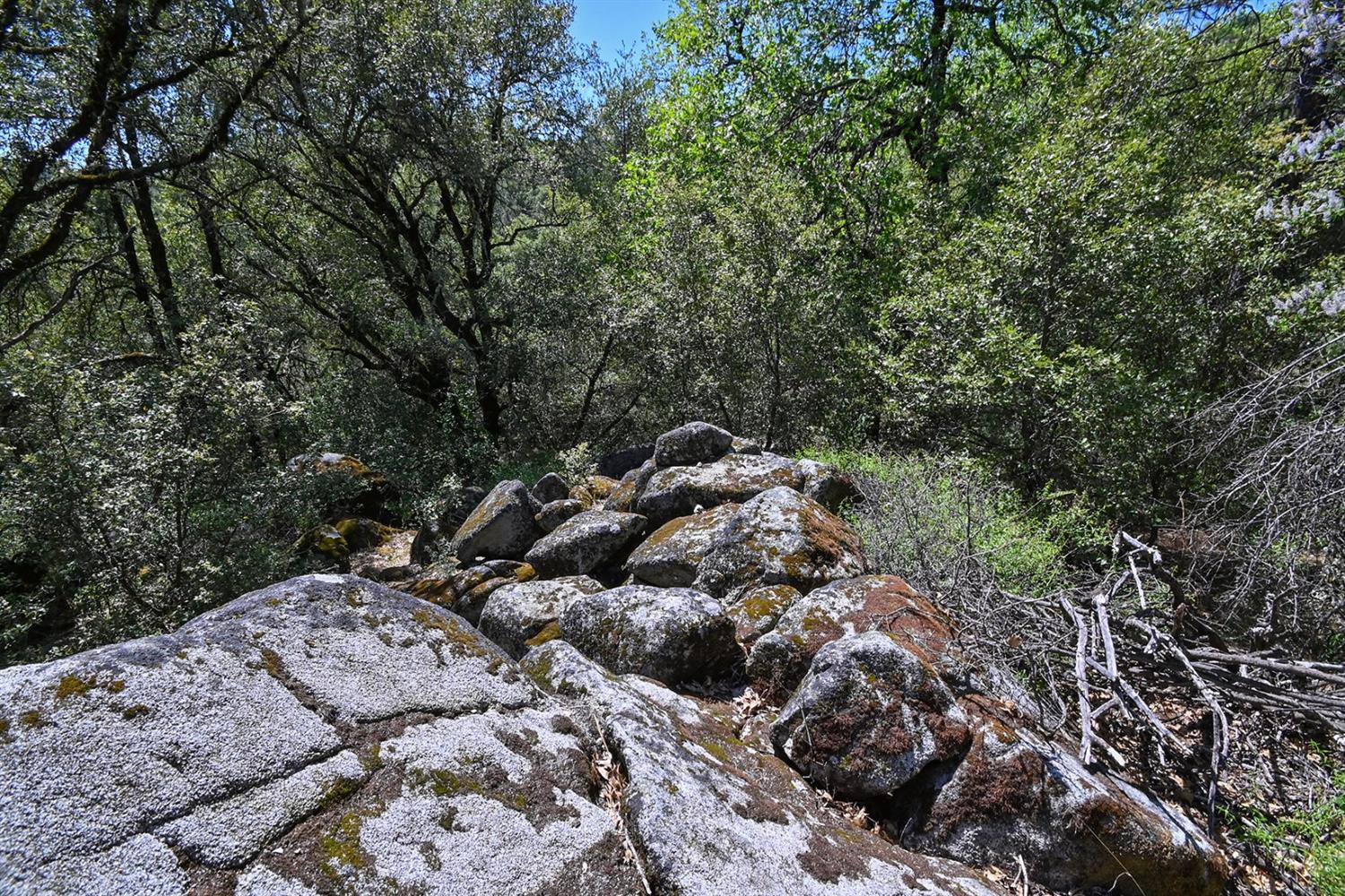 Mt. Aukum Road, Somerset, California image 18