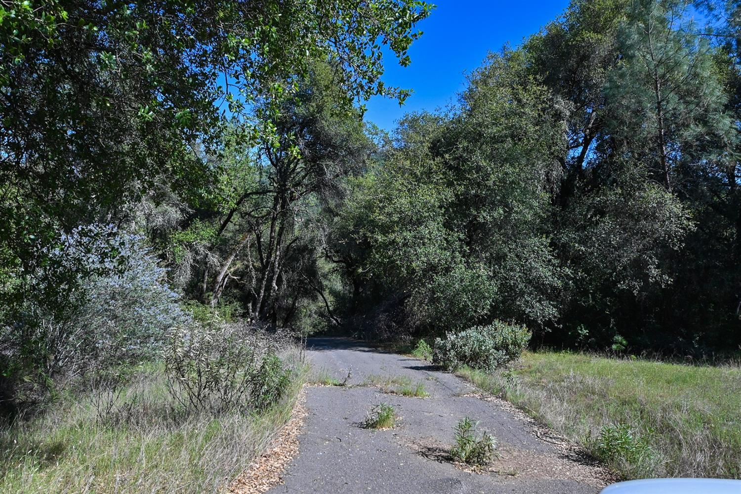 Mt. Aukum Road, Somerset, California image 6