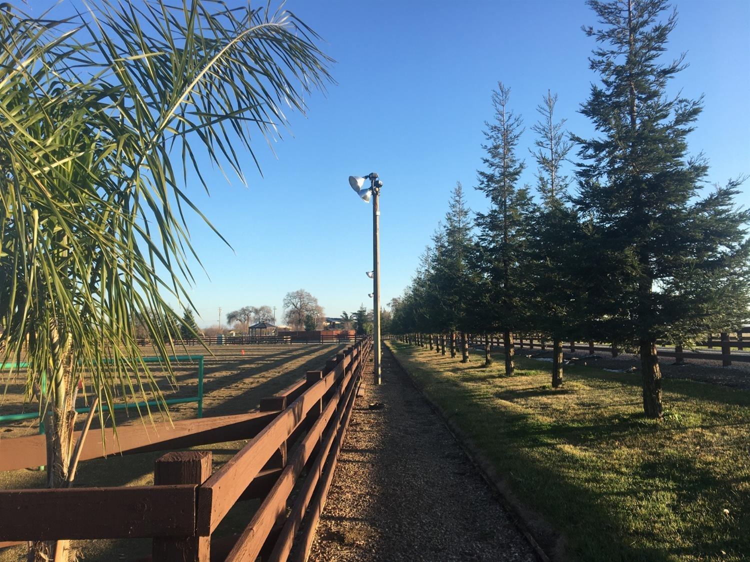 Dillard Road, Sloughhouse, California image 8