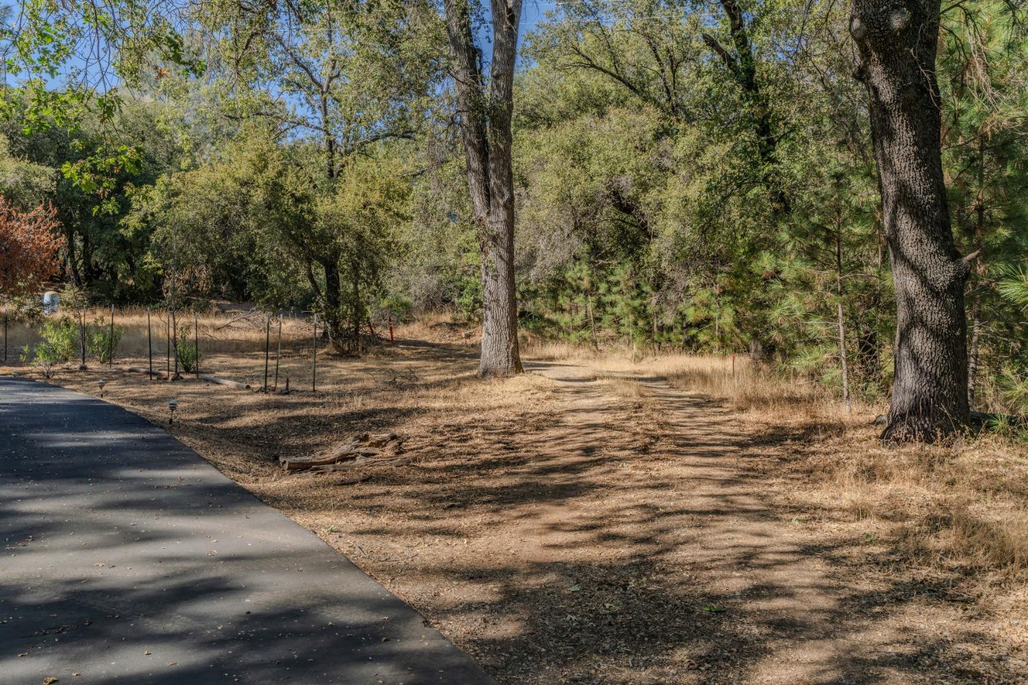 Ponderosa Annex Road, Sutter Creek, California image 2