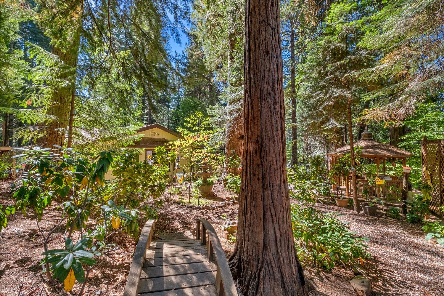 Apple Creek Court, Pollock Pines, California image 7