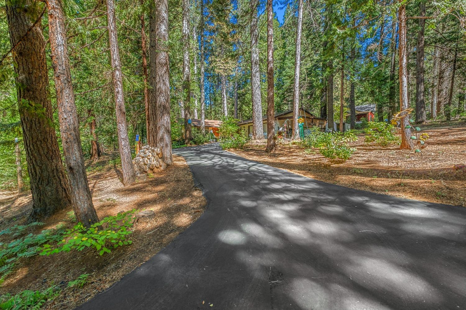 Apple Creek Court, Pollock Pines, California image 2