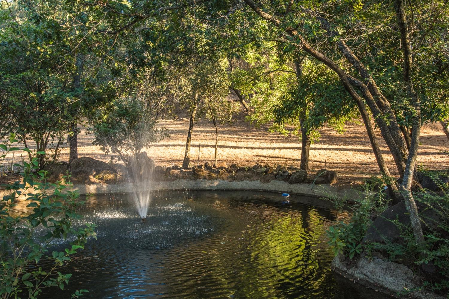 Detail Gallery Image 49 of 51 For 4094 Val Verde Rd, Loomis,  CA 95650 - 2 Beds | 2 Baths