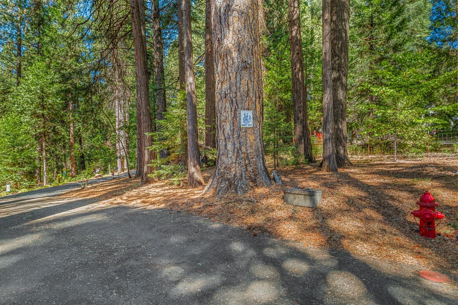 Detail Gallery Image 59 of 64 For 5030 Apple Creek Ct, Pollock Pines,  CA 95726 - 3 Beds | 2/1 Baths