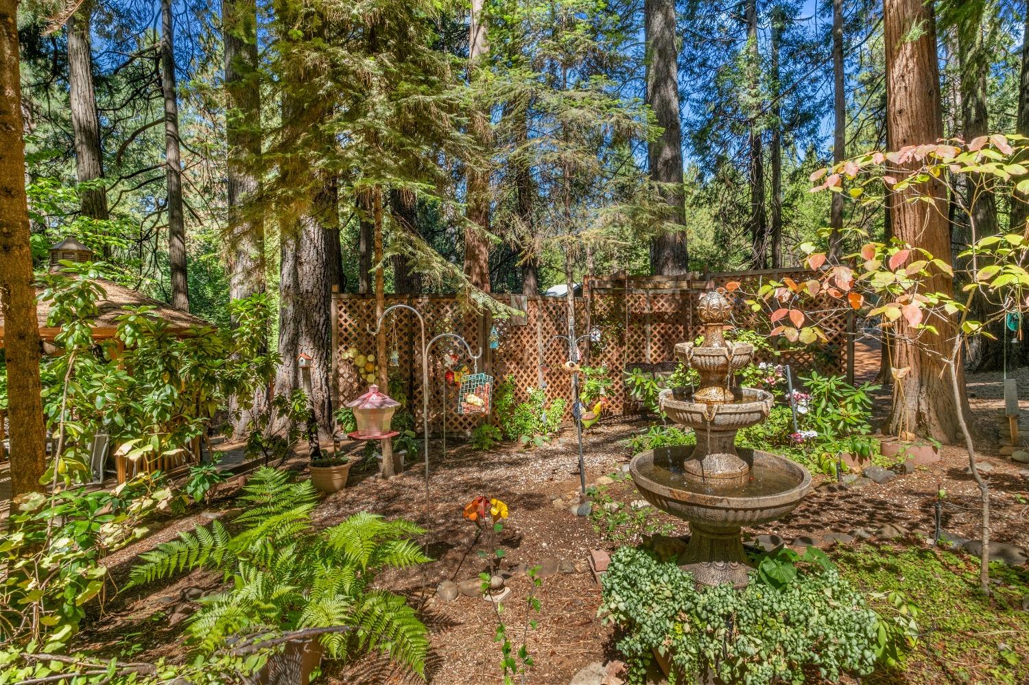 Detail Gallery Image 54 of 64 For 5030 Apple Creek Ct, Pollock Pines,  CA 95726 - 3 Beds | 2/1 Baths