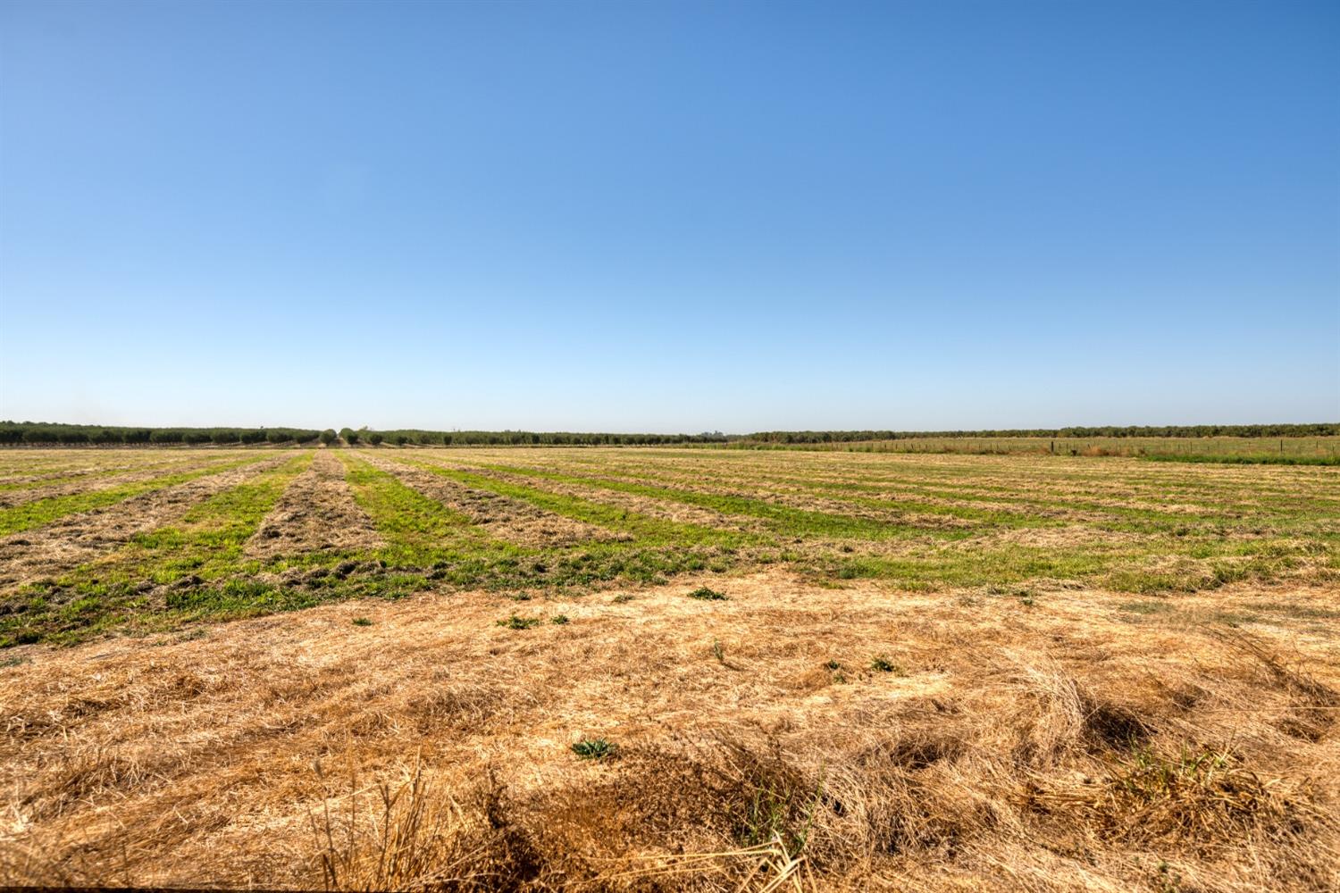 Detail Gallery Image 30 of 40 For 8930 Rice Rd, Oakdale,  CA 95361 - 3 Beds | 2 Baths