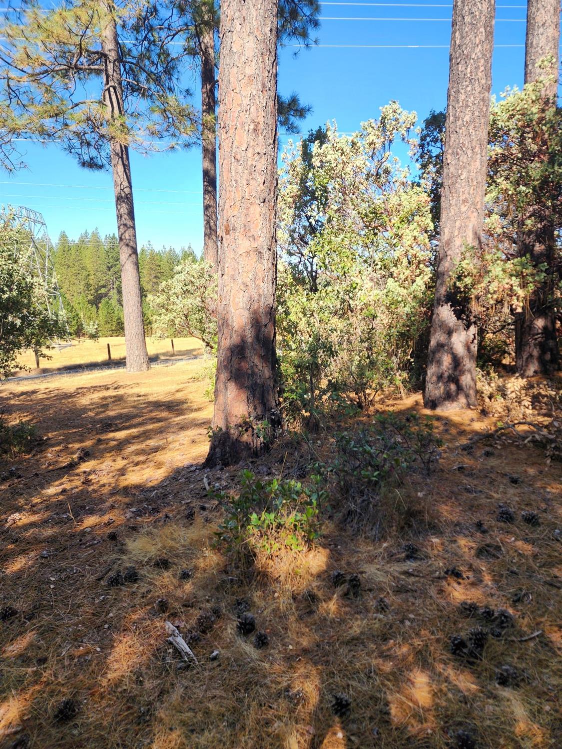 Tabeaud Road, Pine Grove, California image 3