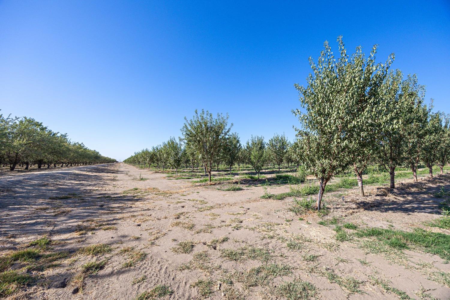 Detail Gallery Image 7 of 22 For 12390 Avenue 18 1/2, Chowchilla,  CA 93610 - – Beds | – Baths